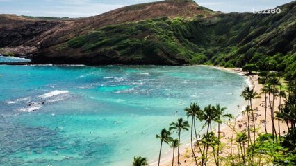 'Dr. Beach' Names Top Beaches of 2016