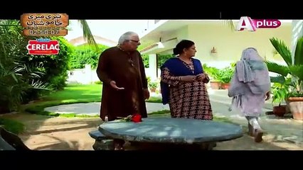 Bheegi Palkein Last Episode 29