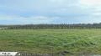 Vie de Château - Le Château de Fonchereau