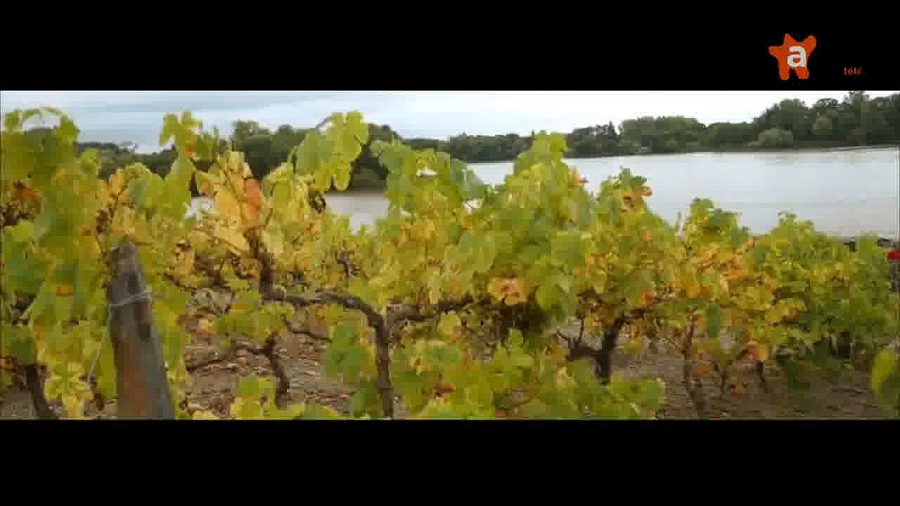 ACCES RESERVE 2015 [S.2015] [E.48] - Accès réservé du 27 novembre 2015 : le CHU d'Angers