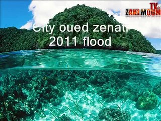 فيضان مدينة وادي الزناتي 2011