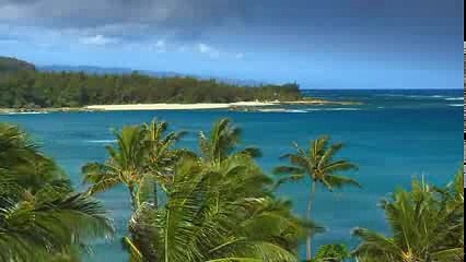 Musica  Instrumental  Sonido  Del Mar