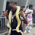 Funniest Video Ever In The World ! Nigerian Artiste afraid of a snake