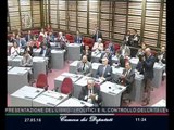 Roma - I politici e il controllo della televisione (27.05.16)