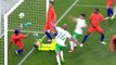 Shane Long Goal Ireland	1 - 0	Netherlands 27/5/2016 HD