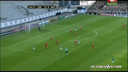 Shane Long Goal HD - Northern Ireland 1-0 Belarus - 27-05-2016
