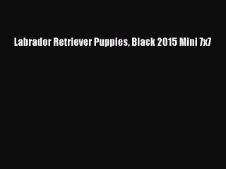 Read Labrador Retriever Puppies Black 2015 Mini 7x7 Ebook Free