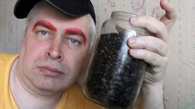 Красные брови — Вы хотите семечки Дам — видео прикол пародия на актёра