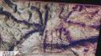 Modes d'emplois - Le chantier exceptionnel de Lascaux 4