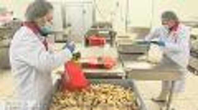 Modes d'emplois - Le secteur agroalimentaire en Aquitaine