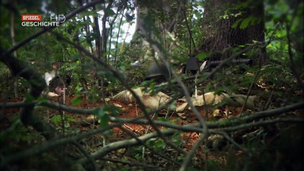 Guns: Die faszinierende Geschichte der Feuerwaffen | E06 🇩🇪