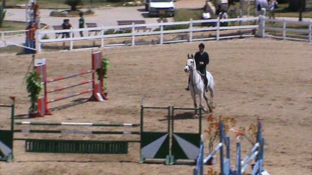 Marshemillo 12-4-2103