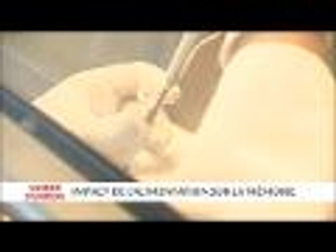 Modes d'emplois - L'agroalimentaire en Aquitaine