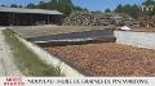 Modes d'emplois - Valoriser la forêt Aquitaine