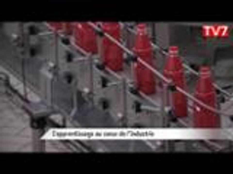 Bassens (33) : Manuel Valls visite l'usine Lesieur