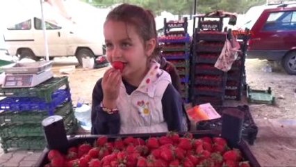 Sivaslı Altın Çilek Kültür ve Sanat Festivali Başladı