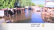 Tabibweb News