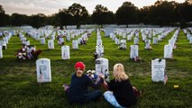 Memorial Day and Veterans Day, explained