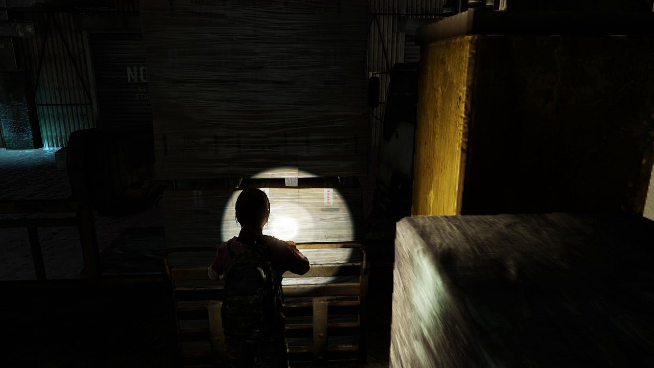 The Last of Us™left behind 5