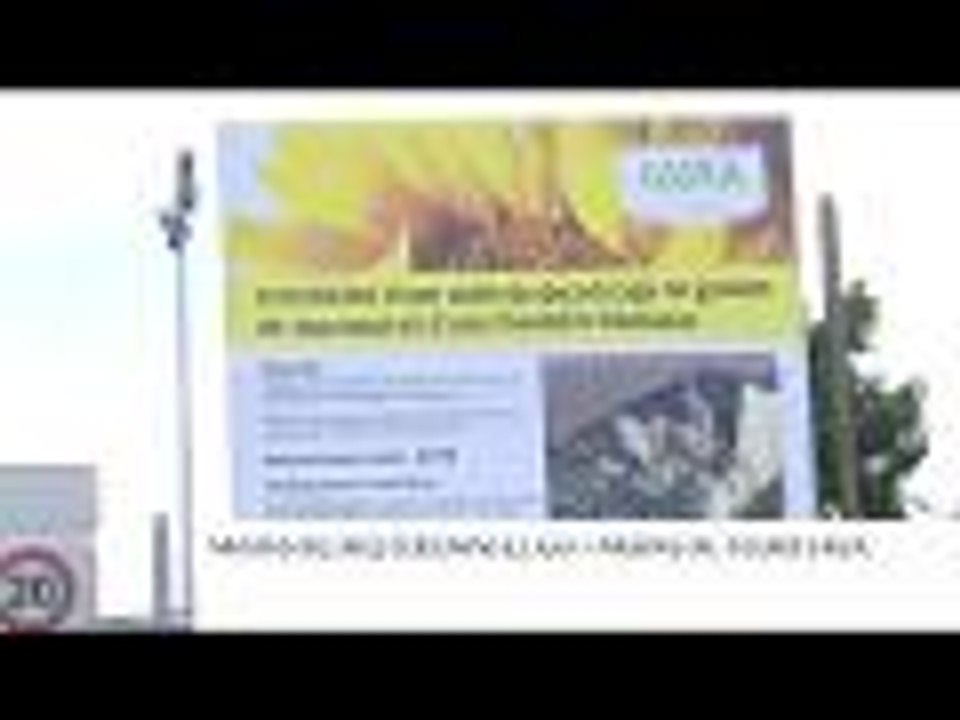 SH-05-29 itw greve Saipol long