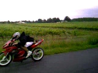 rs2 matrix