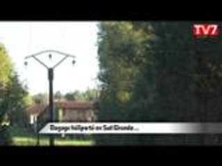 Un spectaculaire élagage en hélicoptère