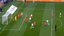 Shane Long Goal - Ireland vs Netherlands 1-0 Friendly Match 2016