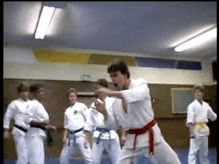 Jason Karate Tiger
