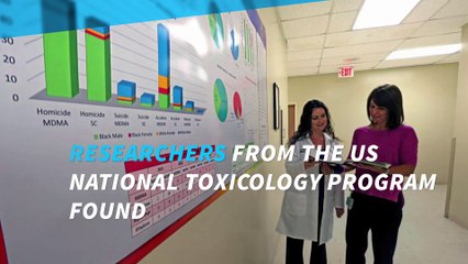 A new study links cell phone radiation to cancer in rats