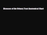 Read Diseases of the Urinary Tract Anatomical Chart Book Online