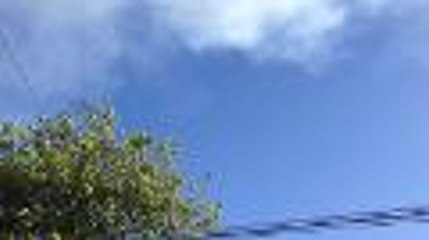 Feu aux portes du quartier Toctoucau  à Pessac