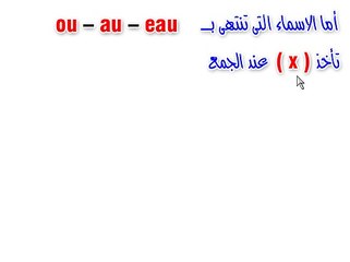 1-4-Le pluriel des noms et adjectifs_3