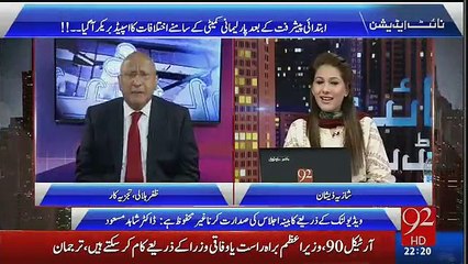 There should be a deputy PM- Zafar Hilaly's critical comments