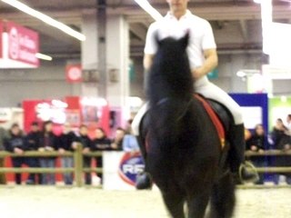 salon du cheval