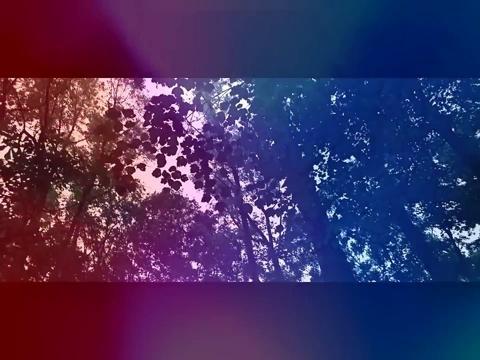 Travis Scott - Maria I'm Drunk feat. Justin Bieber & Young Thug (Music Video)