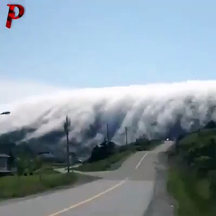 Tsunami Kabut