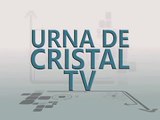 Urna de Cristal: Beneficios de los TLC para Colombia - 15 de julio