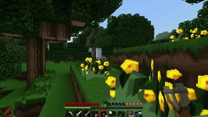 Minecraft- Survival Let's Play- Episode 5-"The real deal."