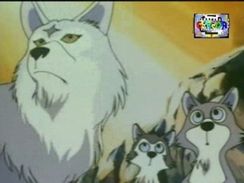 Les Aventures de Robin des Bois