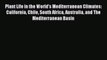 Read Plant Life in the World's Mediterranean Climates: California Chile South Africa Australia