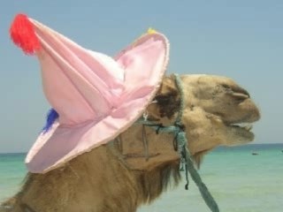 Mezowed ghorba: 3ayich fi bled ennas