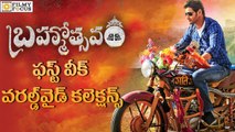 Brahmotsavam World Wide Collections || Mahesh Babu, Samantha, Kajal Aggarwal - Filmyfocus.Com