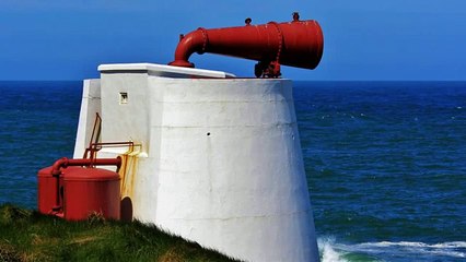 Critical Emergency Horn Siren Sound Effect
