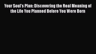 Read Your Soul's Plan: Discovering the Real Meaning of the Life You Planned Before You Were