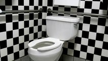 Flushing Toilet Sound Effect