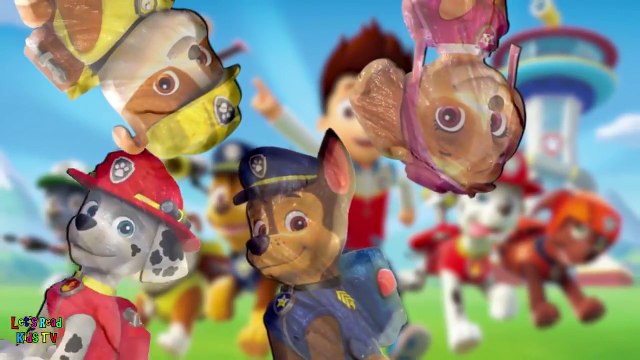 PEPPA PIG CAKE POP FINGER FAMILY SONG DADDY FINGER LOLLIPOP CANDY SONG WITH LYRICS