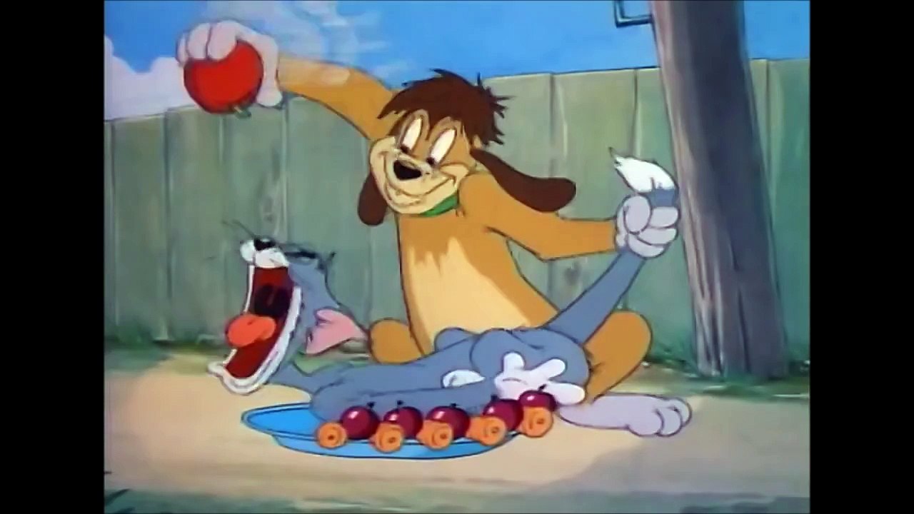Tom and Jerry 35 Episode - The Truce Hurts 1948 HD- CARTOON NETWORK