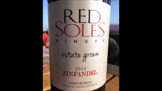 Red Soles 2013 Estate Grown Zinfandel ~ A Wine Find ~ The Good Stuff!