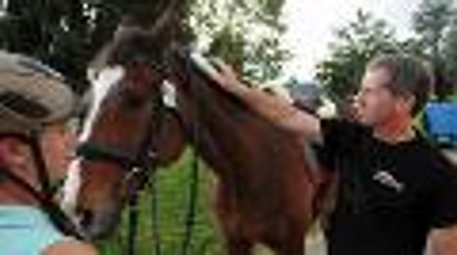 Concours complet international à Pau : les contrôles vétérinaires