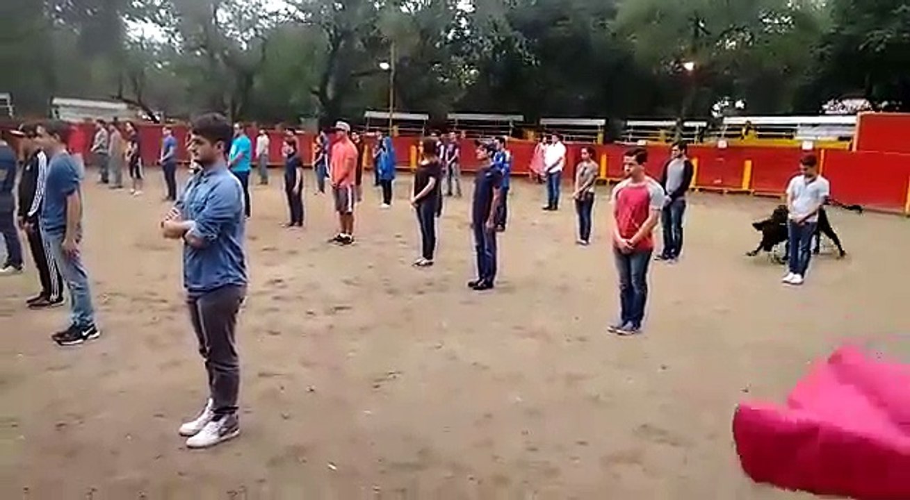 Taureau dans une arène vs Etudiants immobiles  ᴴᴰ